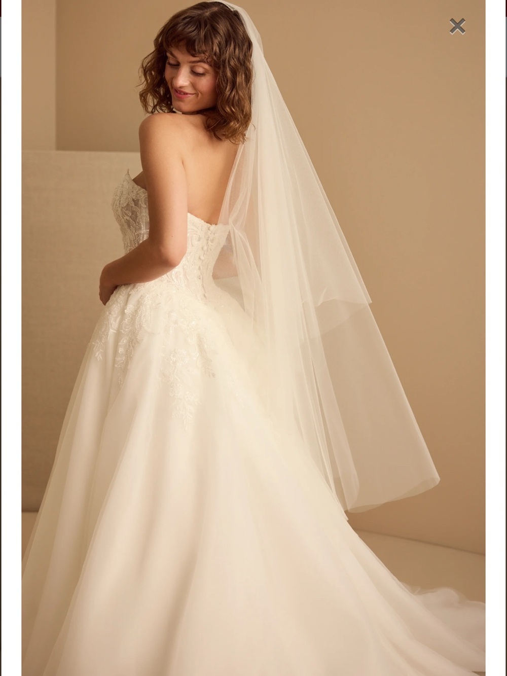 Veil on Bride
